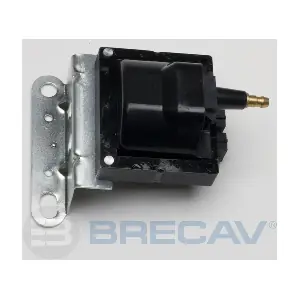 236.003 BRECAV