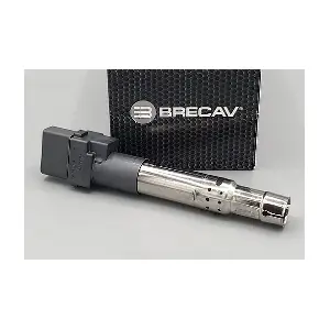 BRECAV 114.013