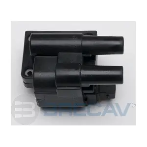 211.005 BRECAV