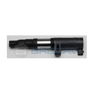 BRECAV 111.003