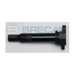 129.005 BRECAV