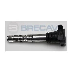 BRECAV 114.002