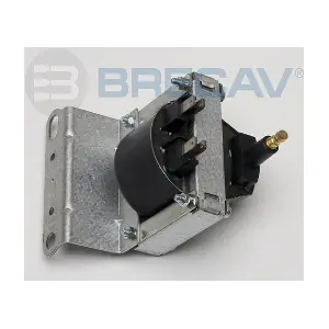 BRECAV 209.009