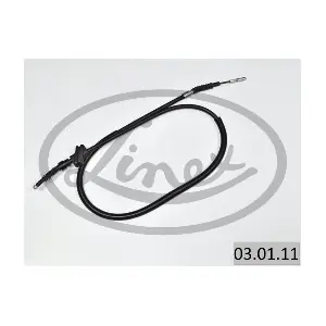 03.01.11 LINEX