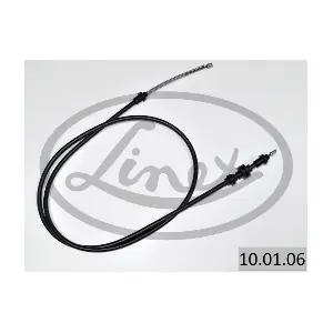 10.01.06 LINEX
