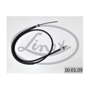 10.01.09 LINEX