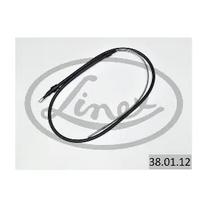38.01.12 LINEX
