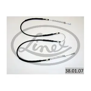 38.01.07 LINEX