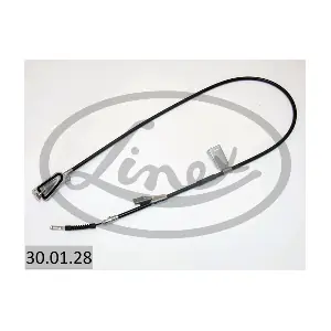 30.01.28 LINEX