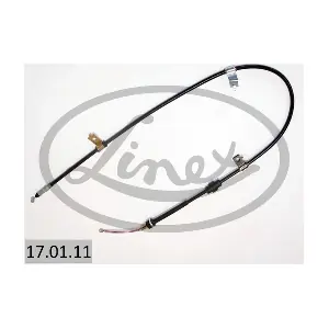 17.01.11 LINEX