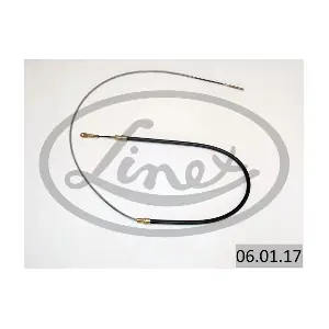 060117 LINEX