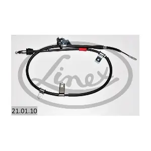 LINEX 21.01.10