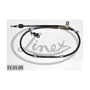 21.01.09 LINEX