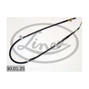 30.01.25 LINEX