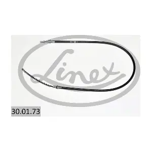 30.01.73 LINEX