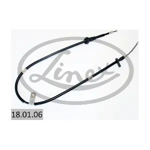 18.01.06 LINEX