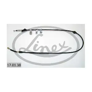 17.01.38 LINEX