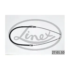 27.01.10 LINEX