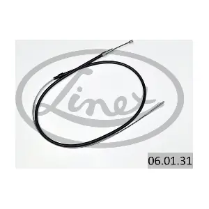 06.01.31 LINEX