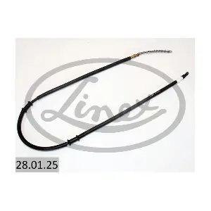 28.01.25 LINEX