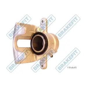 BCA1218 APEC
