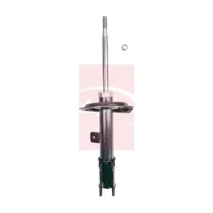 ASA1112 APEC