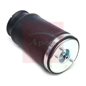 AAS1022 APEC