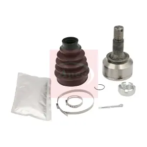 ACV1019 APEC