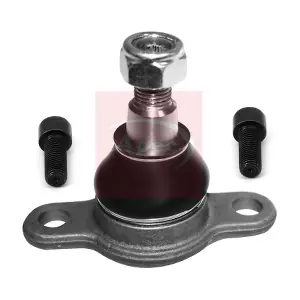 AST0080 APEC