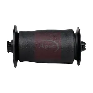 AAS1002 APEC