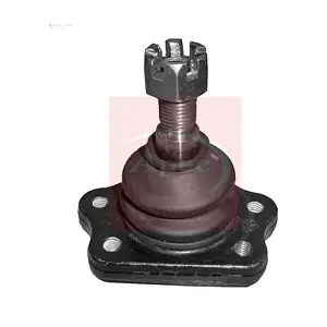 AST0277 APEC