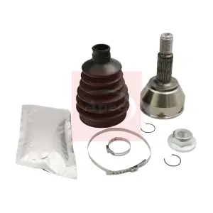 ACV1021 APEC