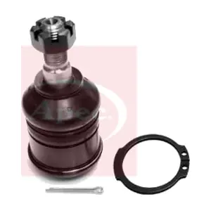 AST0026 APEC