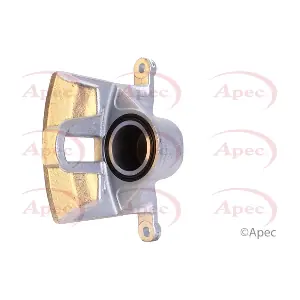 RCA481 APEC