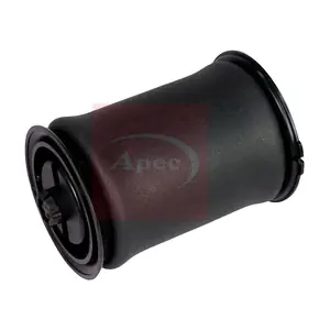 AAS1001 APEC