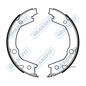BSH1066 APEC