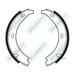 BSH1003 APEC