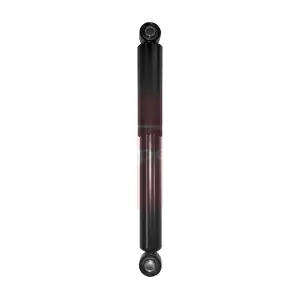 ASA1097 APEC