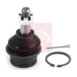 AST0202 APEC