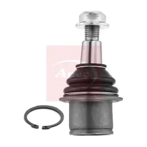 AST0208 APEC