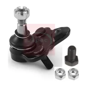 AST0135 APEC