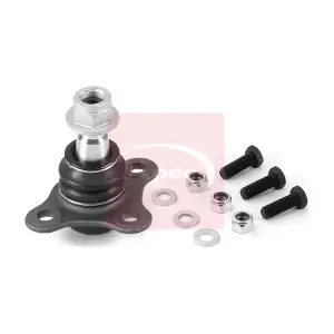 AST0305 APEC