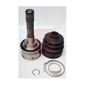 ACV1263 APEC
