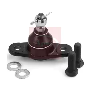 AST0115 APEC