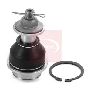 AST0207 APEC