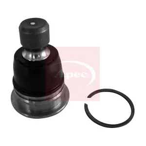AST0088 APEC