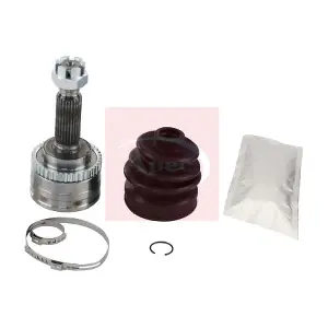ACV1291 APEC