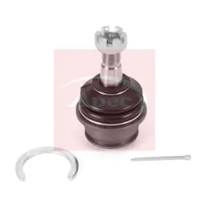 AST0289 APEC