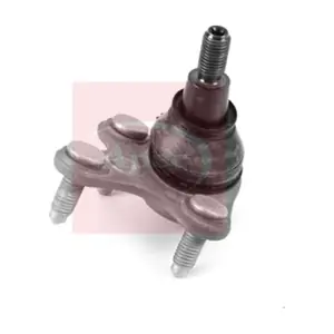 AST0303 APEC