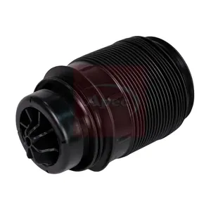 AAS1008 APEC